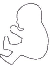 200x273 Portland Porcupine Sidewalk Activism