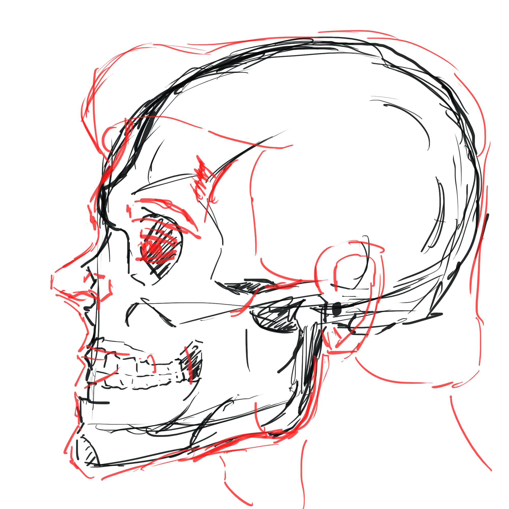 2000x2000 Sideways Face + Skull