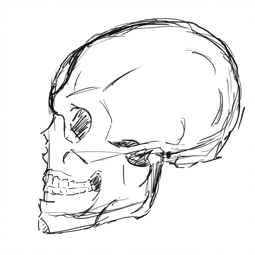 894x894 Face, Sideways Skull