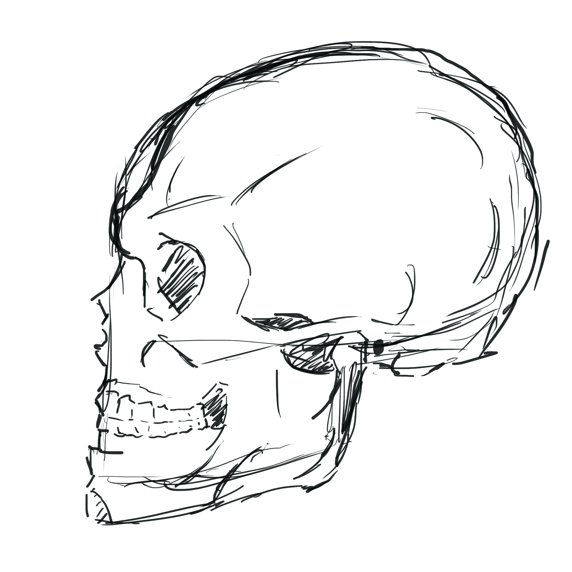 2000x2000 Face, Sideways Skull