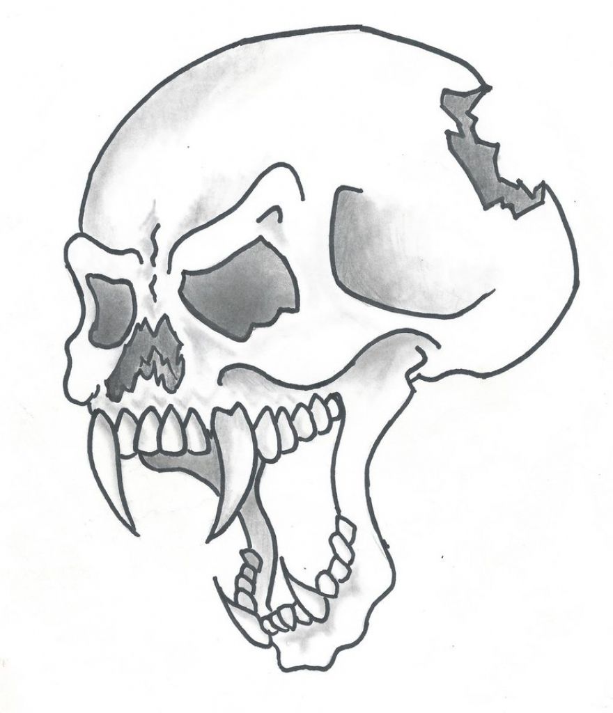 880x1024 Cool Drawing Of Skulls