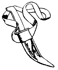 199x240 Angliacampus Kesh