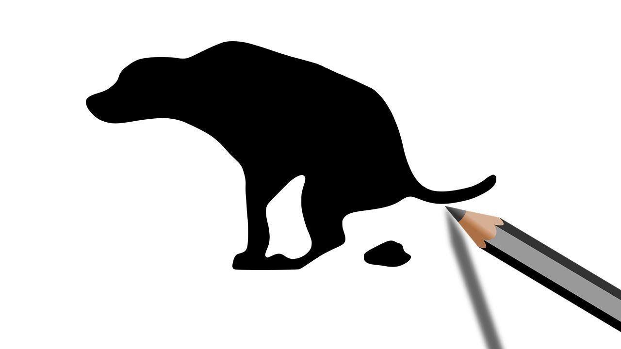 1280x720 Dog Crapping Silhouette Drawing Drawing In Drawings, Easy