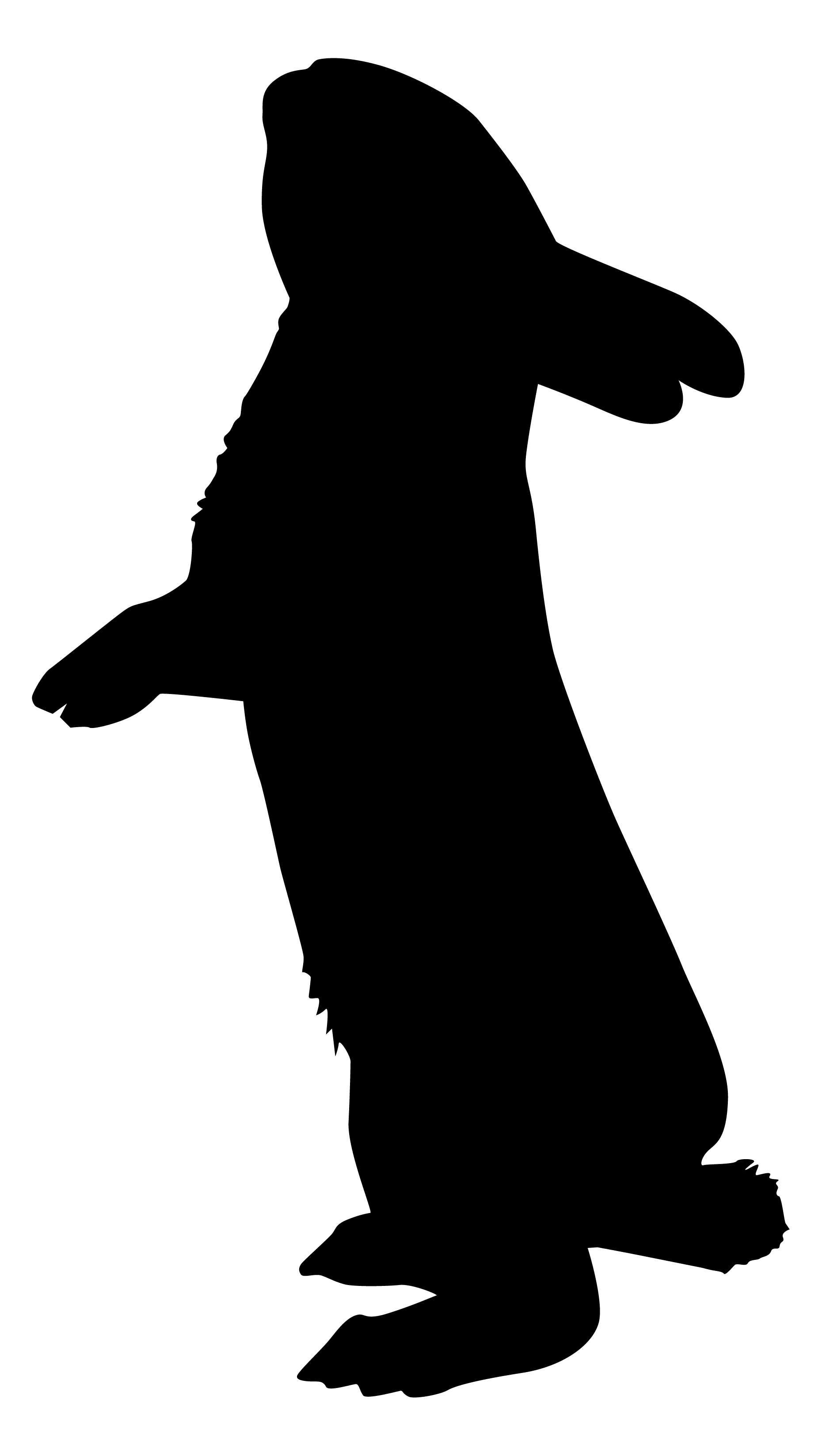 1860x3296 Silhouette Lapin