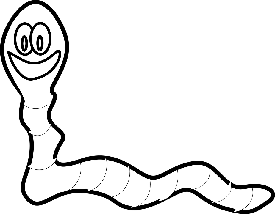 Silkworm Drawing