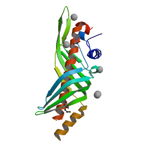 500x500 Rcsb Pdb
