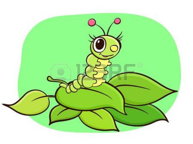 640x480 Worm Clipart Silkworm
