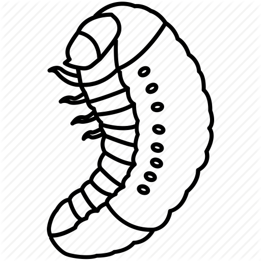 512x512 Collection Of Free Ant Drawing Larvae Download On Ui Ex