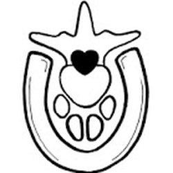 250x250 silver lining animal chiropractic