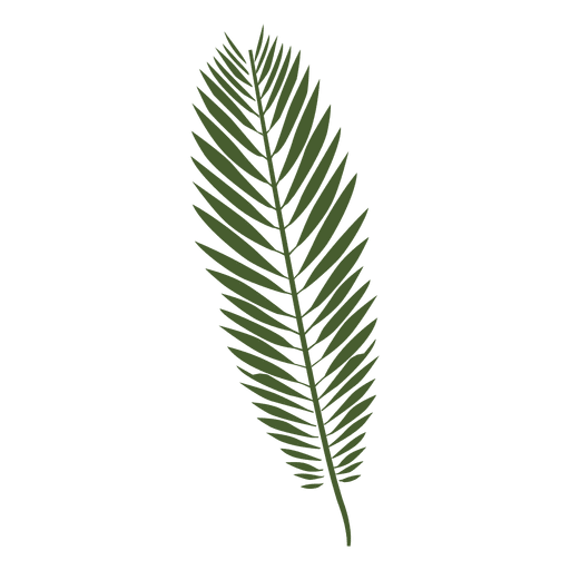 512x512 Collection Of Free Fern Drawing Thing Download On Ui Ex