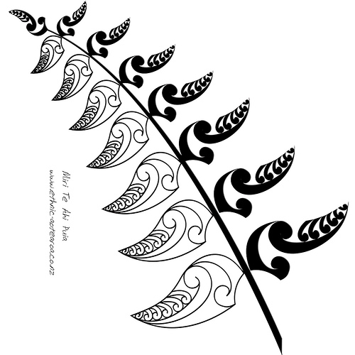 500x500 Silver Fern Logo Lela Elder