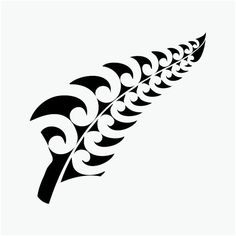 236x236 best silver fern images silver fern, maori art, maori designs