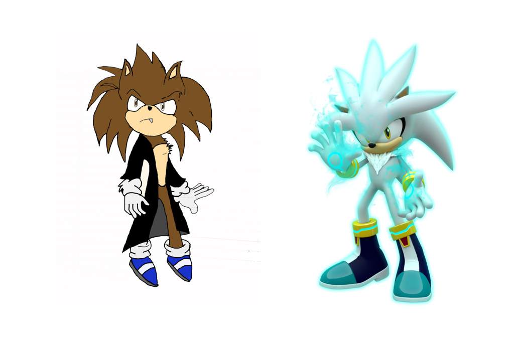 1024x682 winner silver the hedgehog sonic the hedgehog! amino
