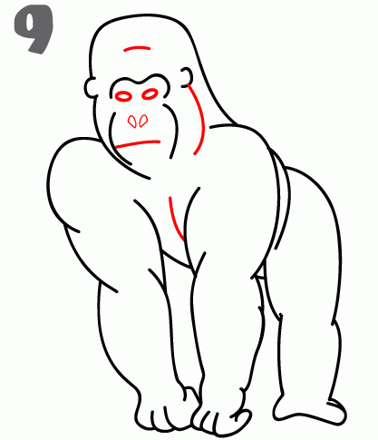 417x485 How To Draw A Gorilla