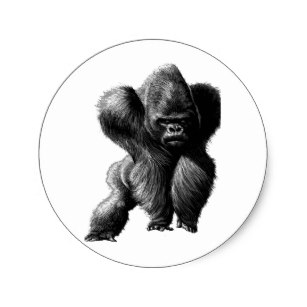 307x307 silverback gorilla stickers zazzle