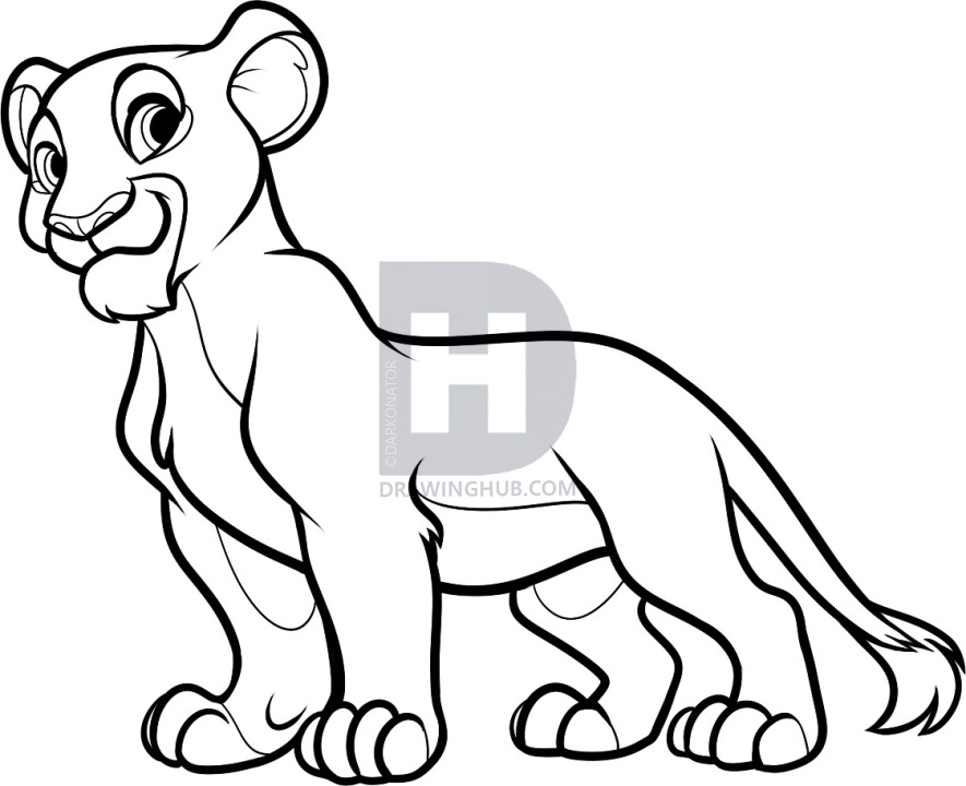 885x720 How To Draw Nala From The Lion King, Step