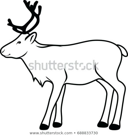 445x470 raindeer drawing