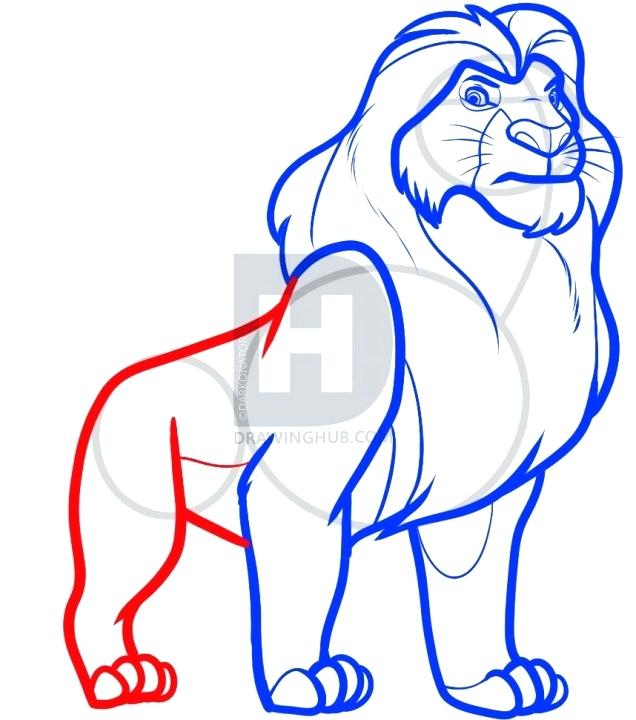 636x720 Lion King Drawing Simba Lion King Drawing Step