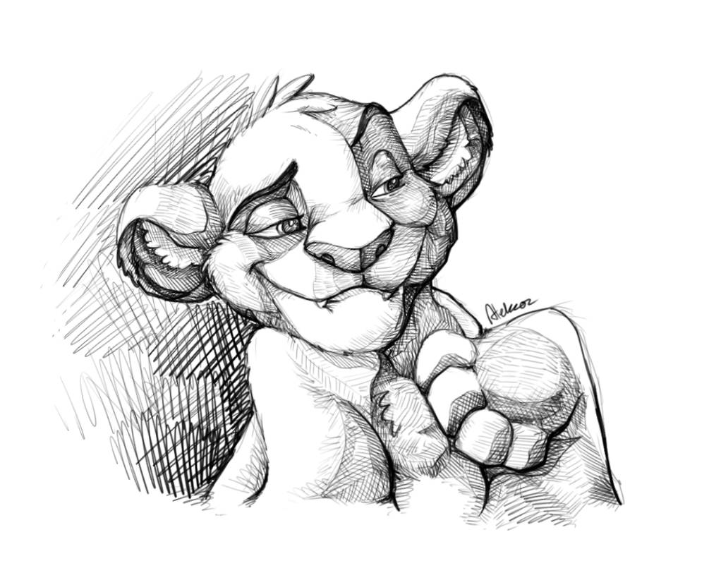 1005x795 Simba From The Lion King