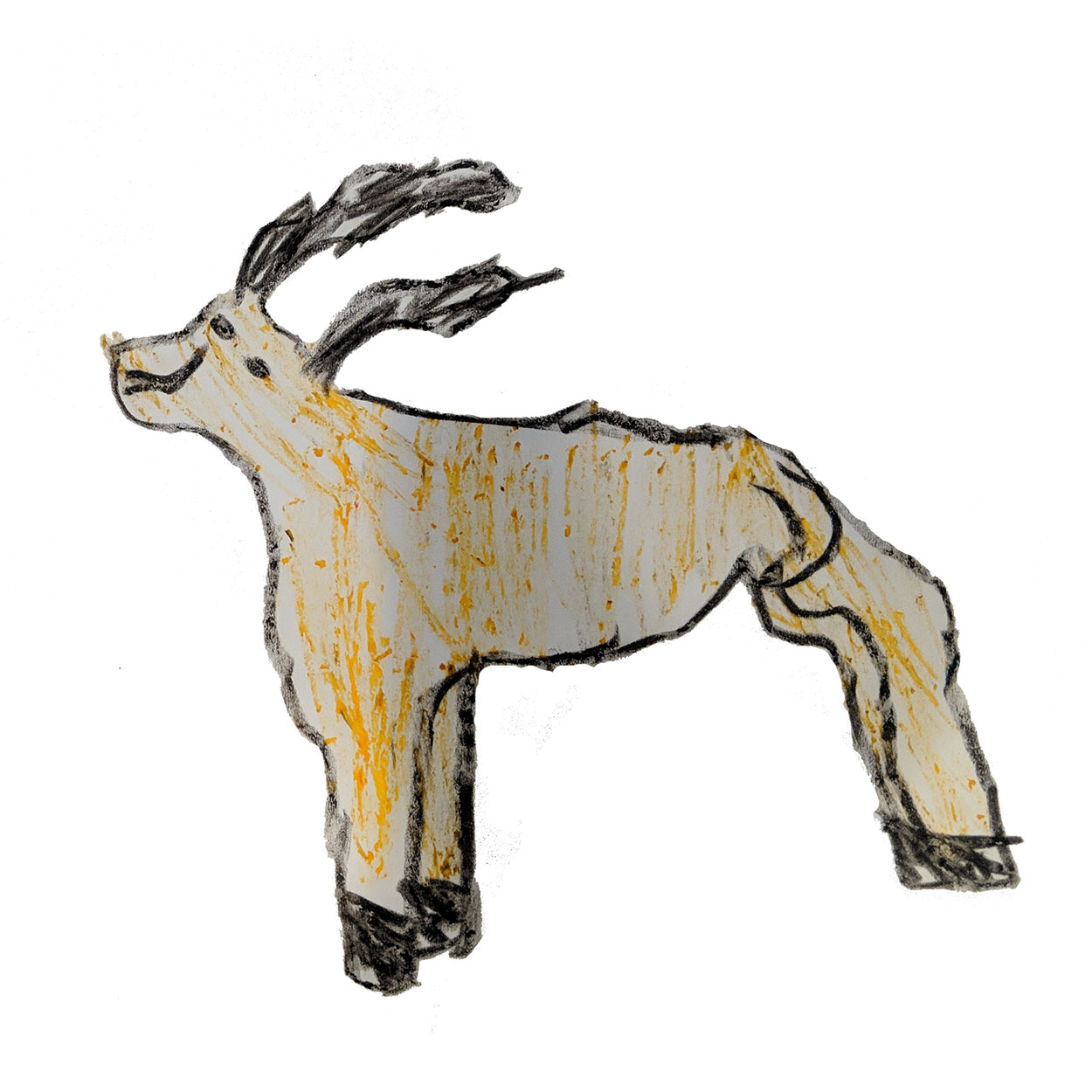 1250x1250 July Drawings Zoobooks