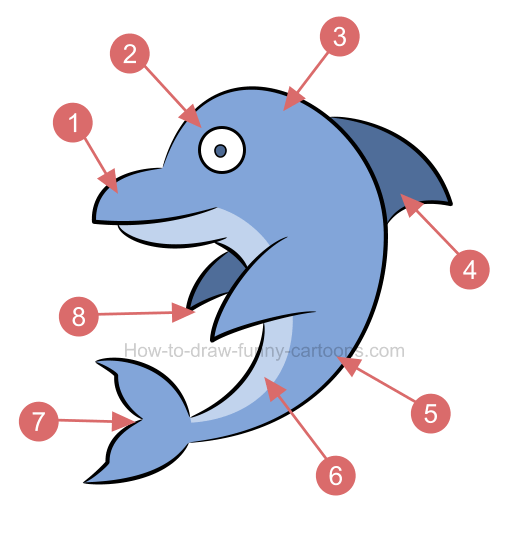 529x555 How To Draw A Simple Dolphin