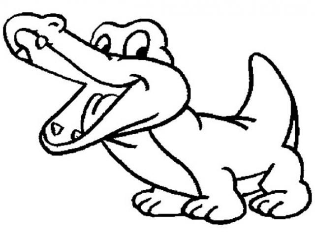 640x480 Drawn Alligator