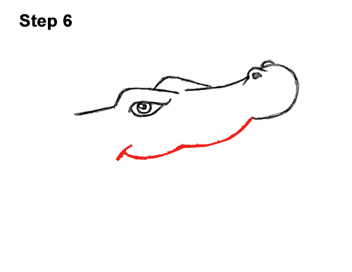 500x386 How To Draw A Crocodile Alligator