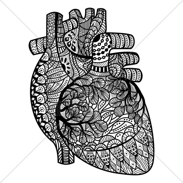 600x600 Image Result For Simple Anatomical Heart Art Black And White Art