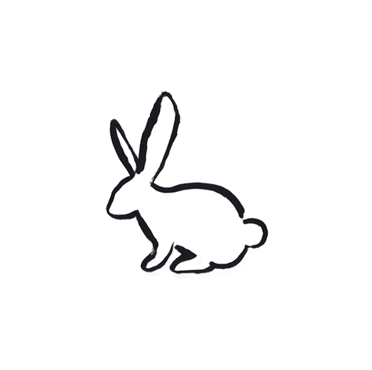 521x519 Hares Drawing Simple Transparent Png Clipart Free Download