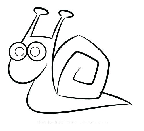 500x455 How To Draw A Simple Animal Draw Simple Animals Simple Animal