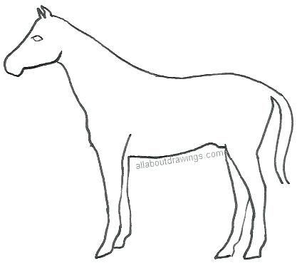 417x369 Basic Animal Drawings