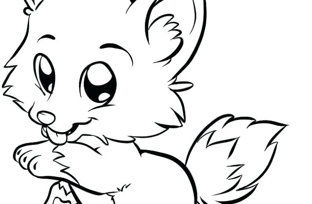 640x420 Basic Animal Drawings Owl Simple Animal Drawings In Pencil Nip