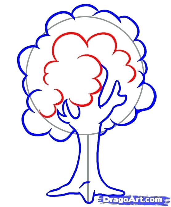 555x669 Simple Tree Drawings Step