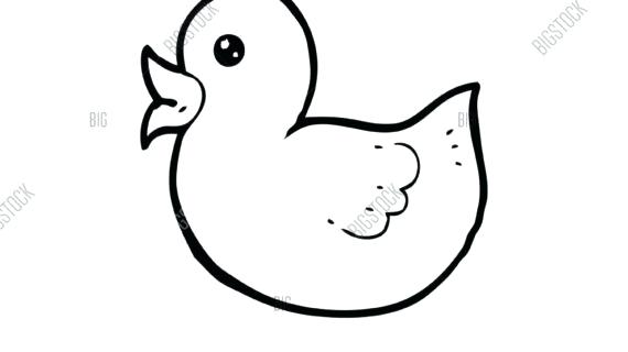 570x320 Simple Duck Drawing Want To Learn How To Draw Duck Follow Our
