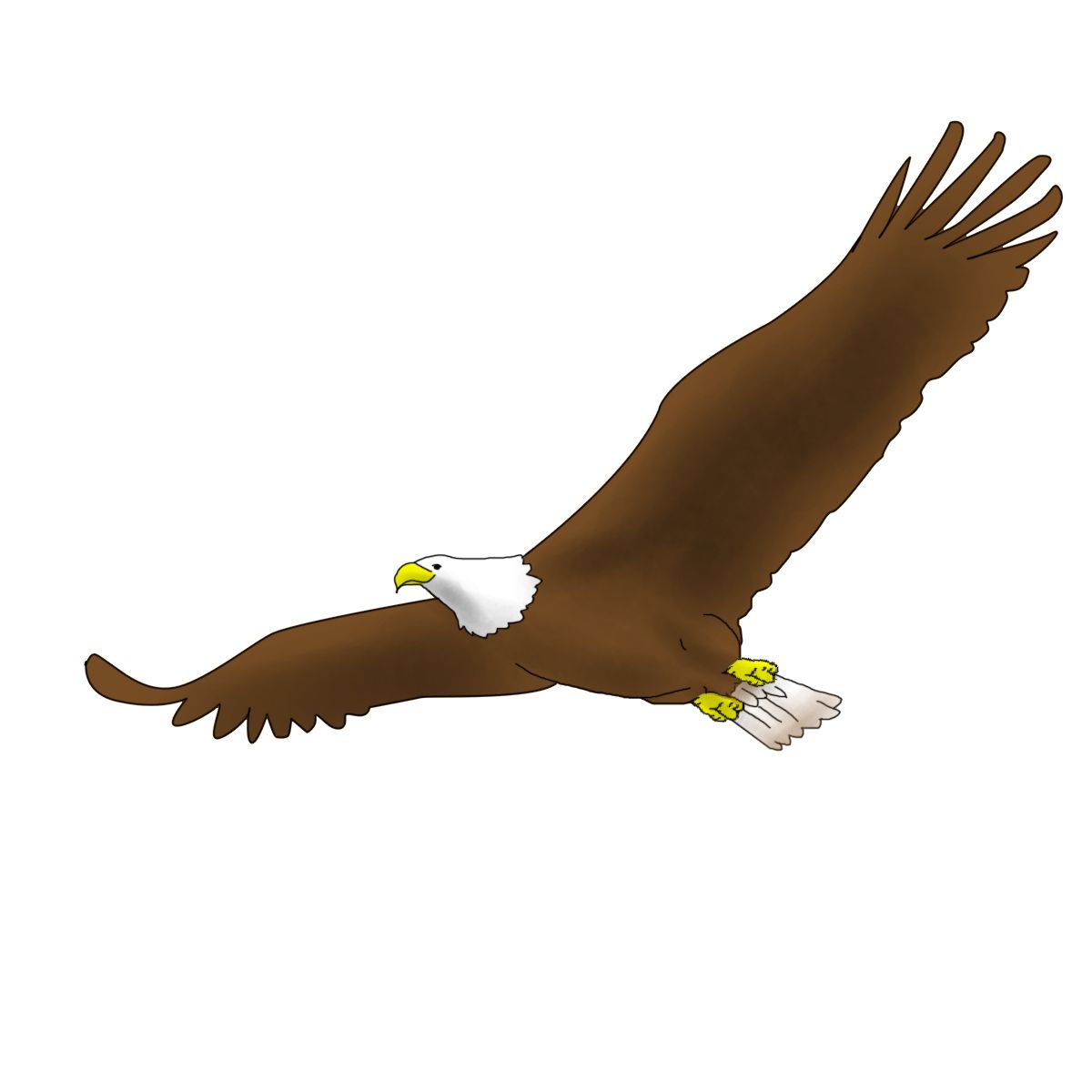 1200x1200 Draw A Bald Eagle Crafts Drawings, Eagle Drawing, Eagle