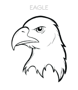 260x300 Eagle Coloring Pages Playing Learning