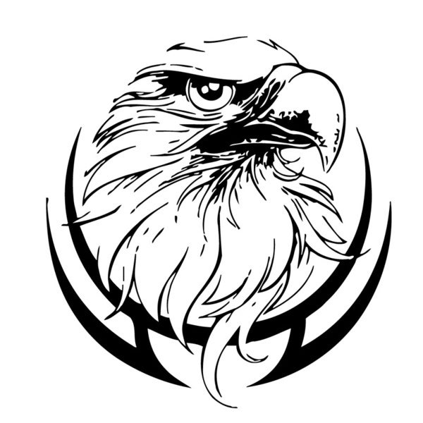 600x600 Shop Bald Eagle Vinyl Wall Decal