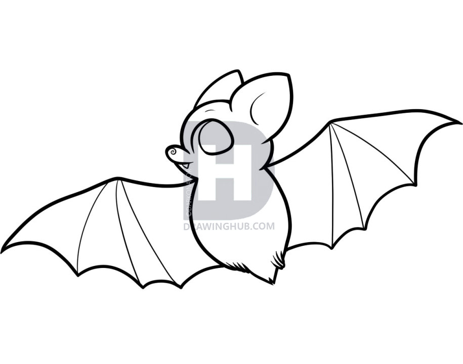 915x720 How To Draw A Bat For Kids, Step