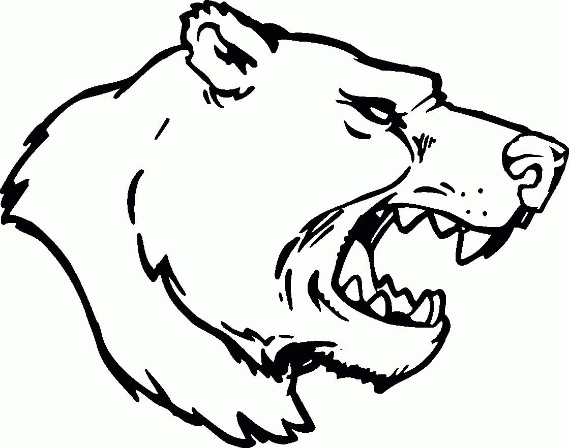 Simple Bear Drawing
