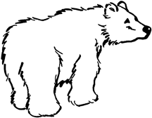 216x168 How To Draw A Bear In Simple Steps Like A Pro
