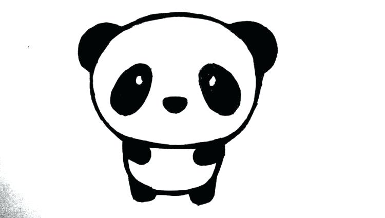 750x425 Simple Panda Drawing Baby Panda Drawing Simple Panda Drawing Step
