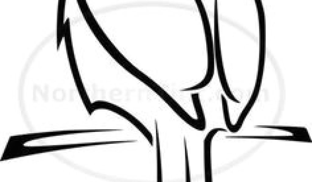 1024x600 Drawings Of Flowers And Birds Easy Simple Bird Drawing Art Simple