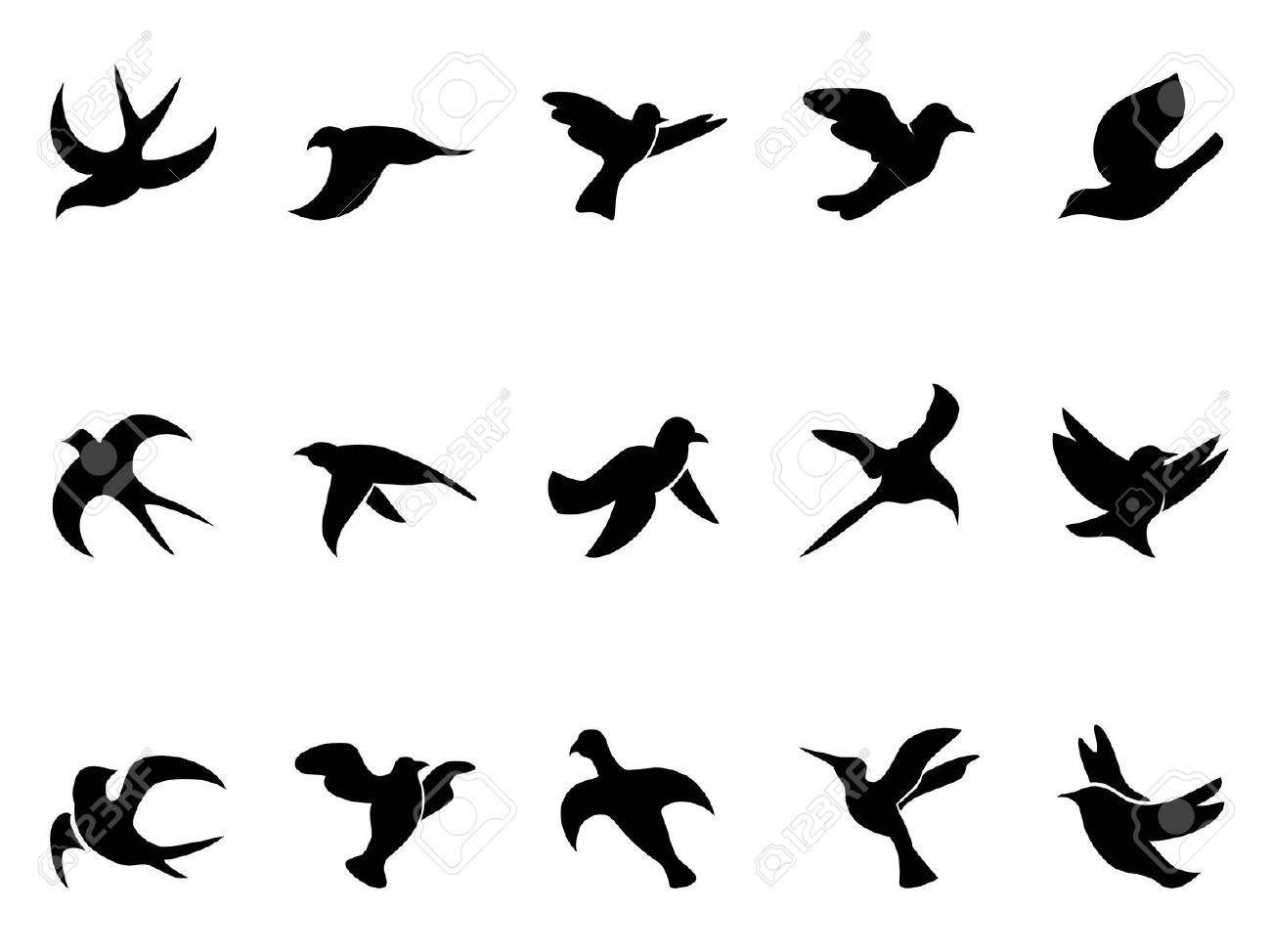 1300x974 How To Draw A Flying Bird Step