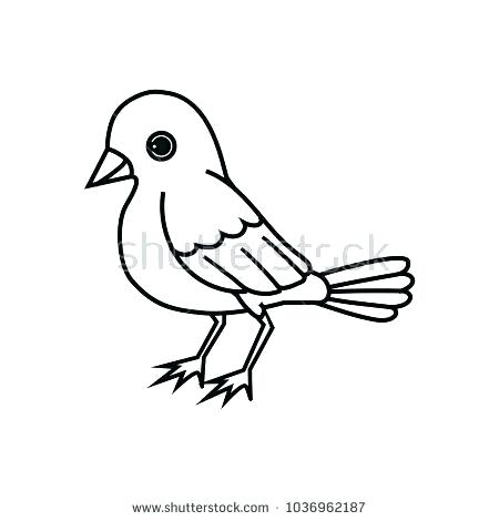 450x470 Simple Bird Outline Cool Standing Bird Outline For Children