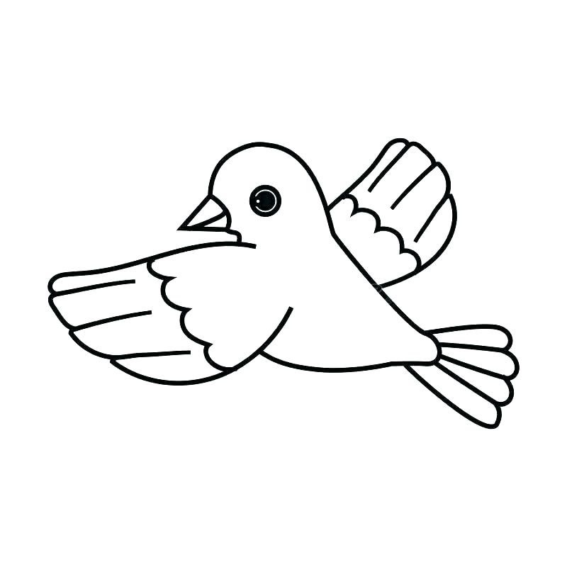 800x800 Simple Drawing Of A Bird
