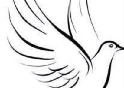 410x293 Bird Drawing Simple Or Simple Dove Sketch Drawings