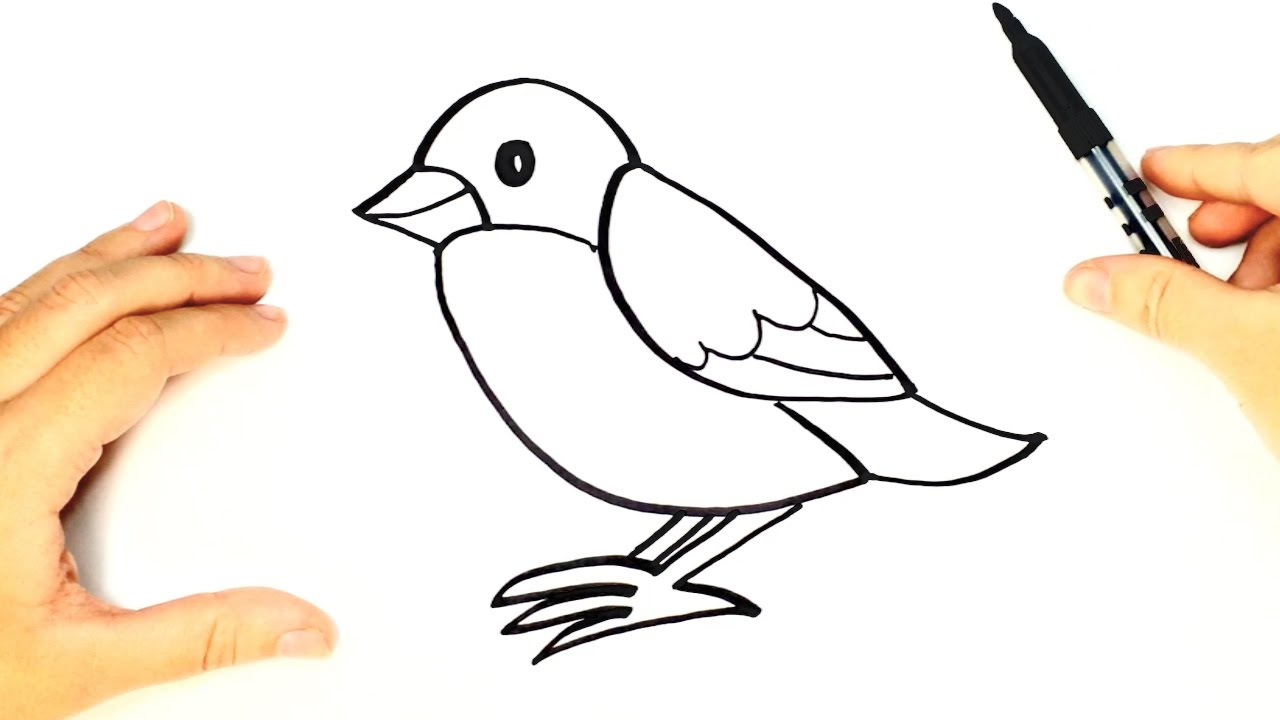 1280x720 Simple Bird Drawing For Kids And How To Draw A Bird For Kids