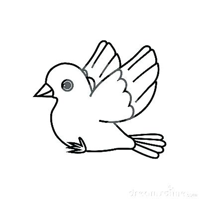 400x400 Simple Bird Outline Best Birds Coloring