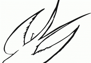 300x210 Simple Fly Drawing How To Draw A Dragon Flying