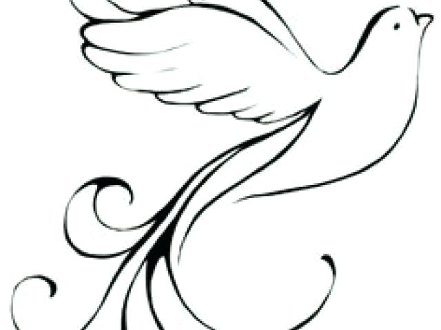 640x480 How To Draw A Easy Dove White Dove Easy Draw X Free Clip Art